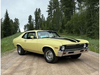 1971 Chevrolet Nova Webster SD