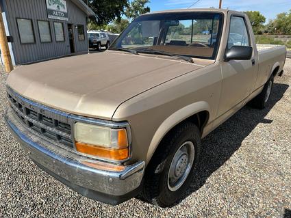 1992 Dodge Dakota Clifton CO