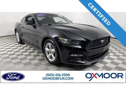 2017 Ford Mustang Louisville KY