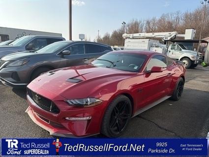 2023 Ford Mustang Knoxville TN