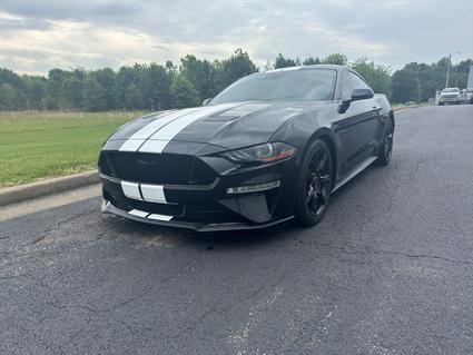 2019 Ford Mustang Paducah KY