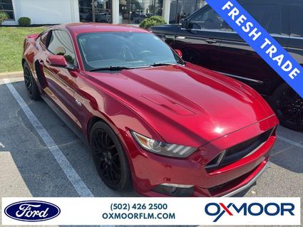 2015 Ford Mustang Louisville KY