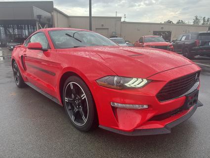 2021 Ford Mustang Elizabethtown KY