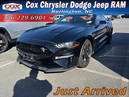 2019 Ford Mustang Burlington NC