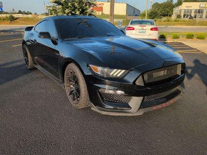 2017 Ford Mustang Shelby Elizabethtown KY
