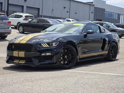 2018 Ford Mustang Shelby Hopkinsville KY