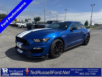 2017 Ford Mustang Shelby Knoxville TN