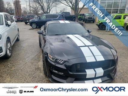 2018 Ford Mustang Shelby Louisville KY
