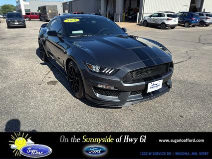 2019 Ford Mustang Winona MN