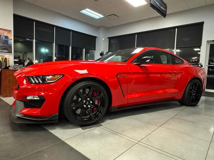 2018 Ford Mustang Shelby Cleveland GA