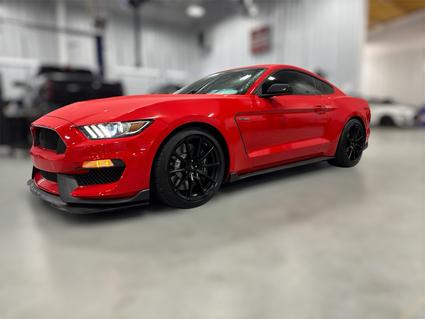 2016 Ford Mustang Shelby Cleveland GA