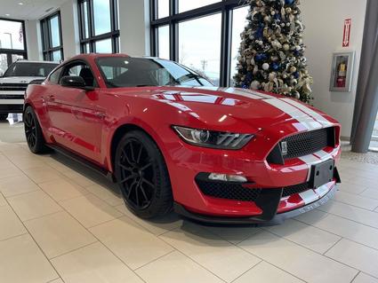 2017 Ford Mustang Shelby Pineville NC