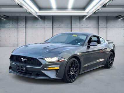 2019 Ford Mustang Patchogue NY