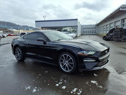 2019 Ford Mustang Charleston WV