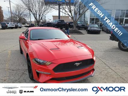 2020 Ford Mustang Louisville KY