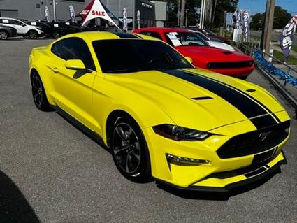 2021 Ford Mustang Daytona Beach FL