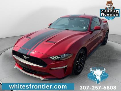 2022 Ford Mustang Gillette WY