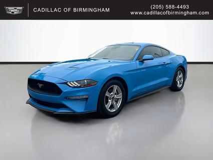2022 Ford Mustang Vestavia Hills AL