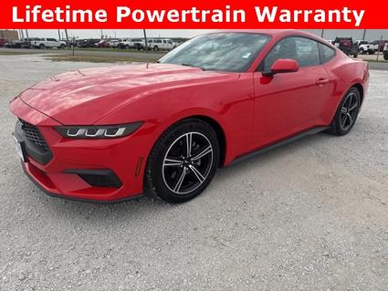 2024 Ford Mustang Whitesboro TX