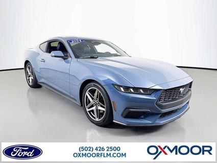 2024 Ford Mustang Louisville KY