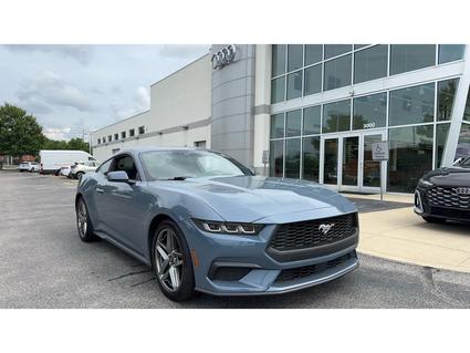 2024 Ford Mustang Lexington KY