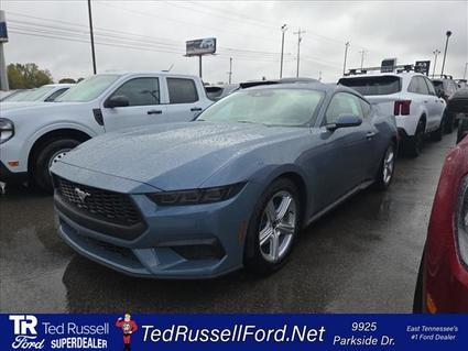 2026 Ford Mustang Knoxville TN