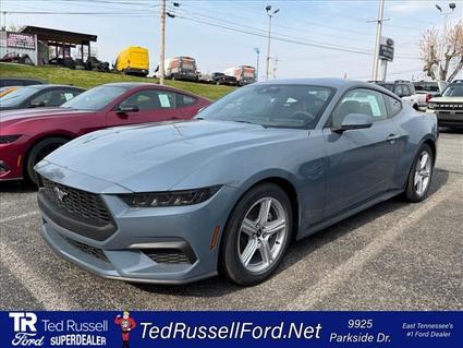2026 Ford Mustang Knoxville TN