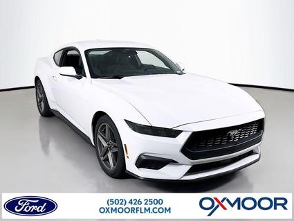 2026 Ford Mustang Louisville KY