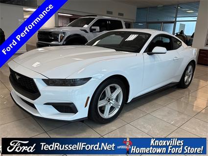 2026 Ford Mustang Knoxville TN