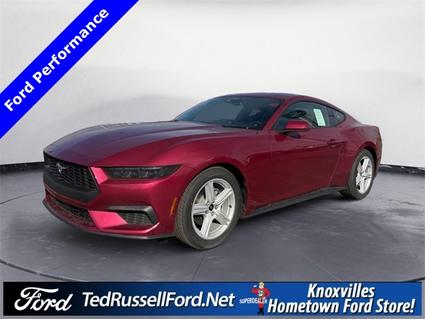 2026 Ford Mustang Knoxville TN