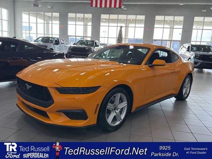 2026 Ford Mustang Knoxville TN