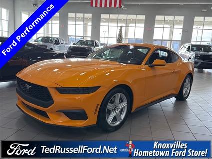 2026 Ford Mustang Knoxville TN