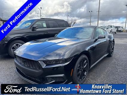 2026 Ford Mustang Knoxville TN