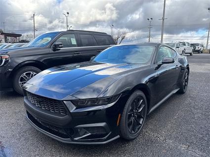 2026 Ford Mustang Knoxville TN
