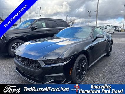 2026 Ford Mustang Knoxville TN