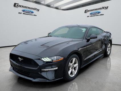 2019 Ford Mustang Mooresville IN