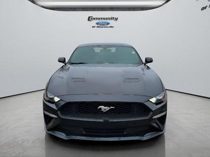 2019 Ford Mustang Mooresville IN