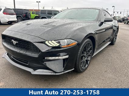 2019 Ford Mustang Franklin KY