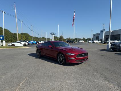 2019 Ford Mustang Stonewall LA