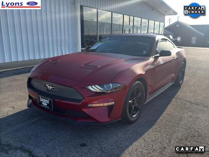 2021 Ford Mustang Lewisburg TN