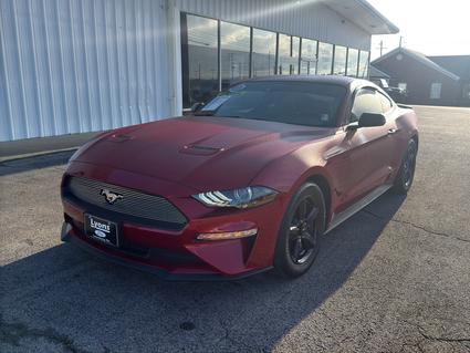 2021 Ford Mustang Lewisburg TN