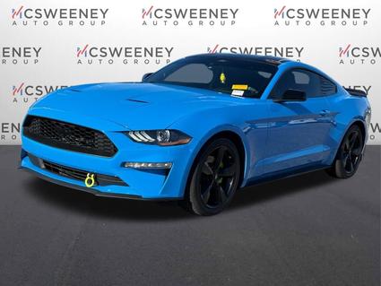 2022 Ford Mustang Pell City AL