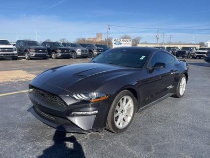 2022 Ford Mustang Wynne AR