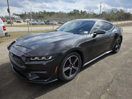 2024 Ford Mustang Murfreesboro TN