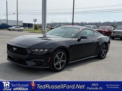 2024 Ford Mustang Knoxville TN