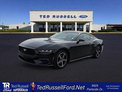 2024 Ford Mustang Knoxville TN