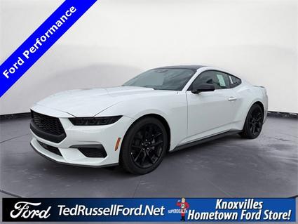 2026 Ford Mustang Knoxville TN