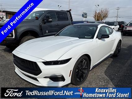 2026 Ford Mustang Knoxville TN
