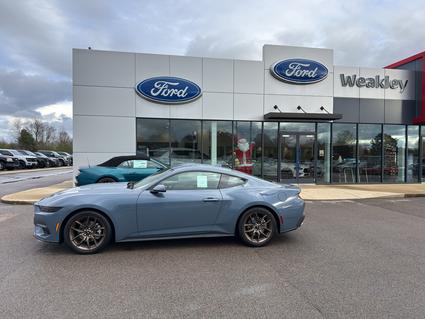 2026 Ford Mustang Martin TN