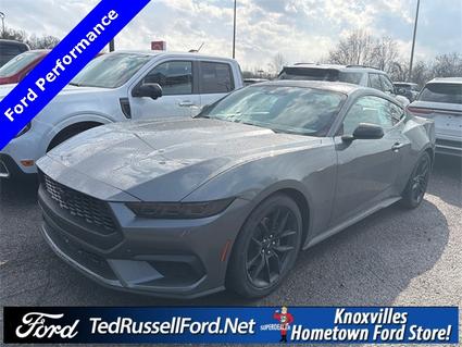 2026 Ford Mustang Knoxville TN
